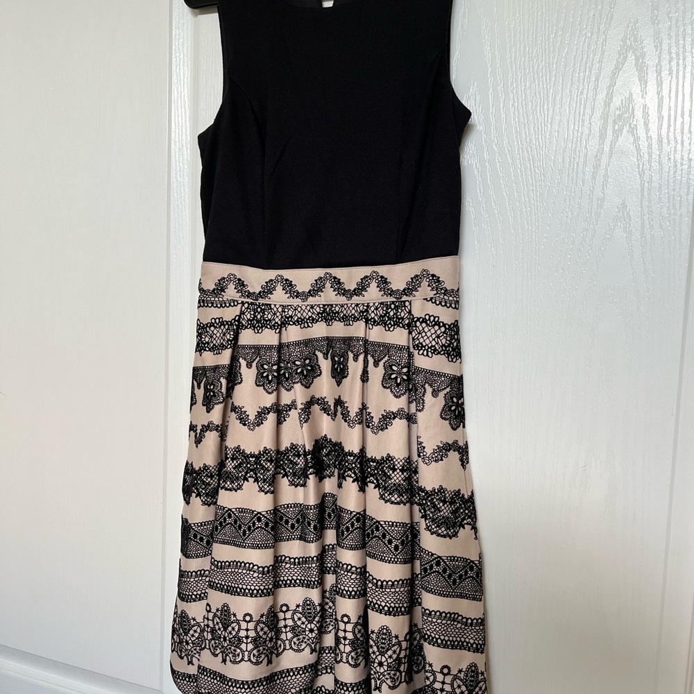 Elle Black and Cream Lace Dress - Picture 3 of 3